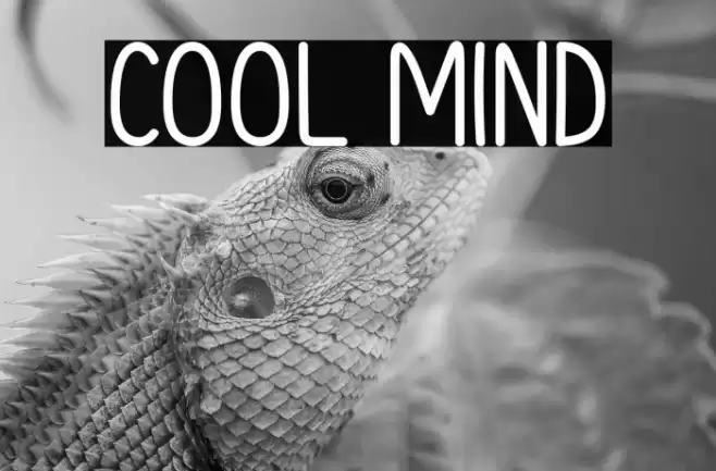 Cool Mind Font examples