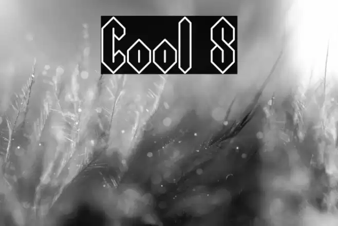 Cool S Font examples