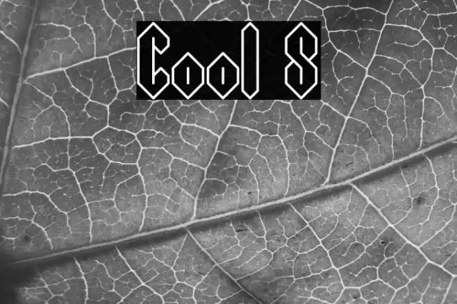 Cool S Font examples