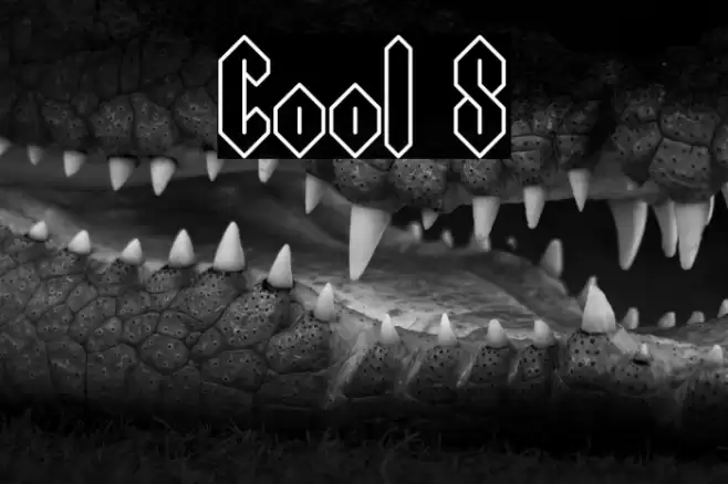 Cool S Font examples