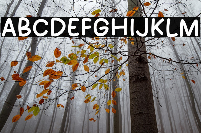 Cool School Example 2