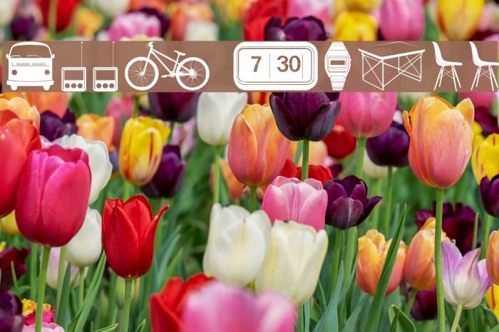 Cool Stuff Example 3