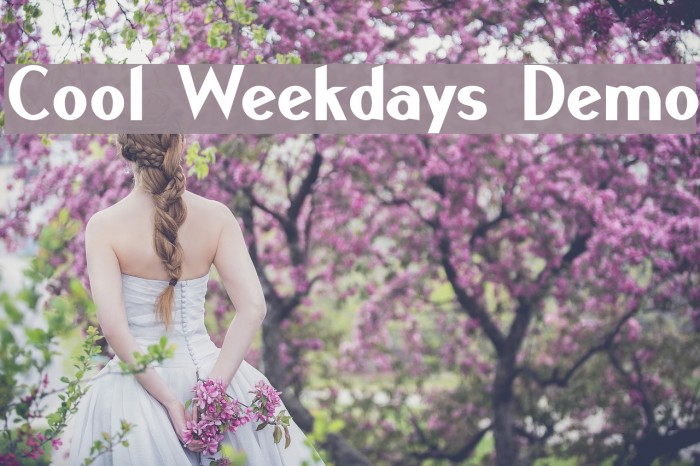 Cool Weekdays Demo Example 1