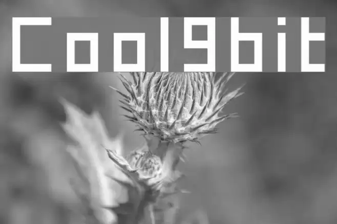 Cool9bit Font examples