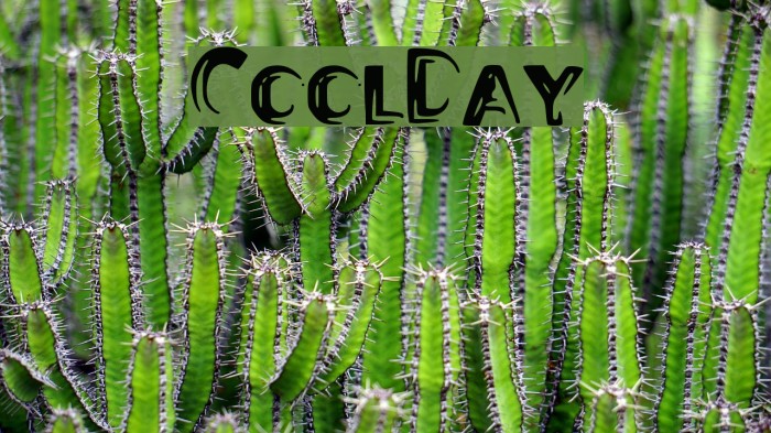 CoolDay Font examples
