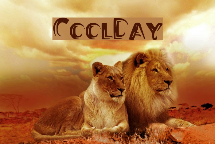 CoolDay Font examples