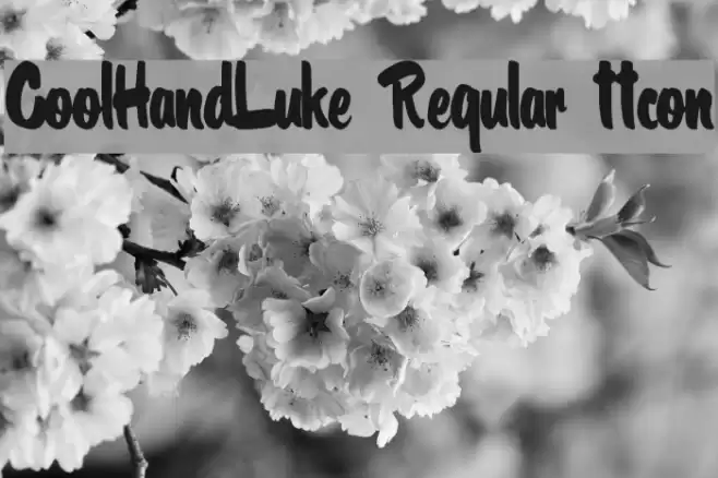 CoolHandLuke Regular ttcon Шрифта examples