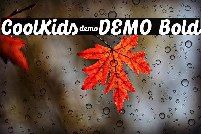CoolKids-DEMO Bold Example 2