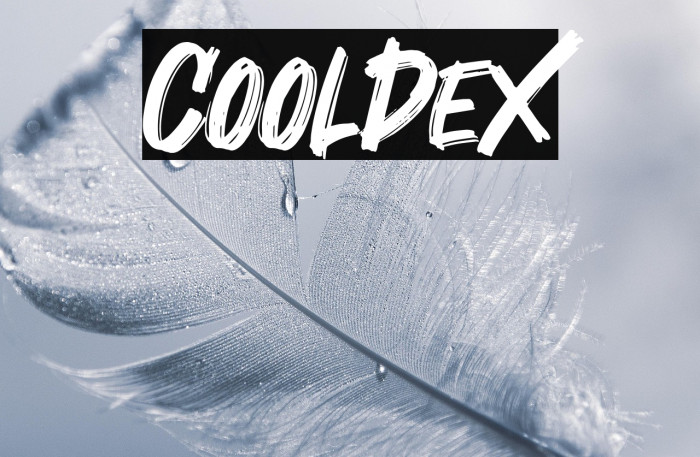 Cooldex Example 1