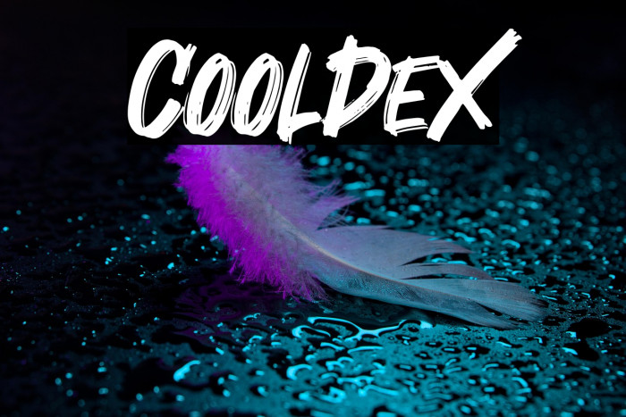 Cooldex Example 2