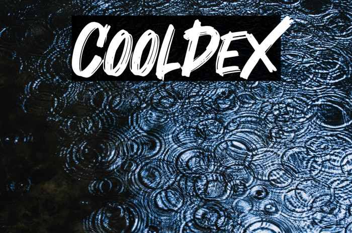Cooldex Example 3