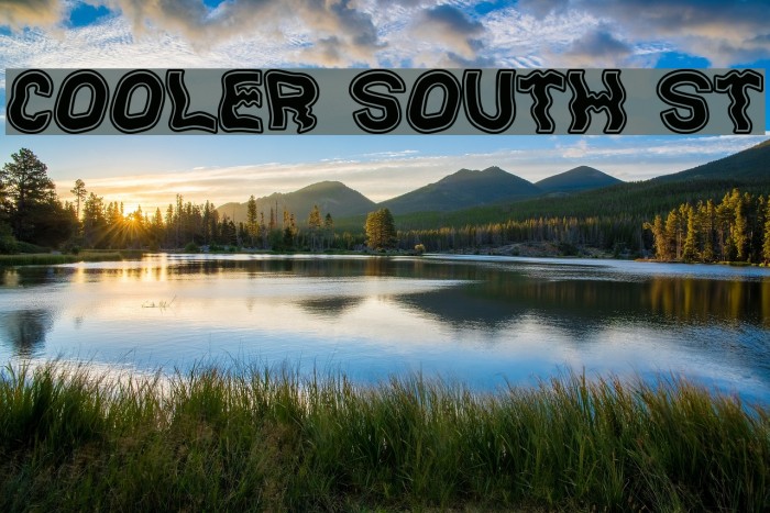 Cooler South St Font examples