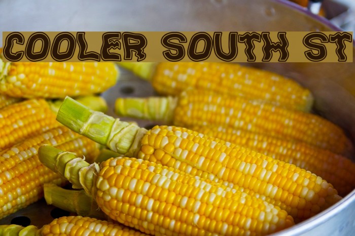 Cooler South St Font examples
