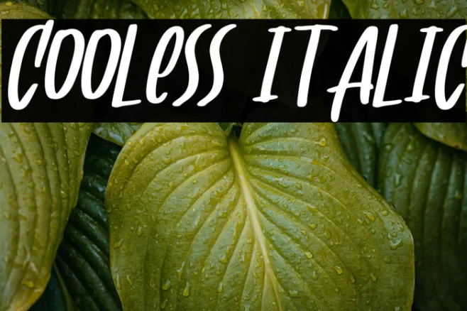 Cooless italic Example 2