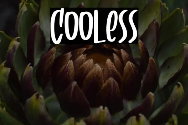 Cooless Example 2