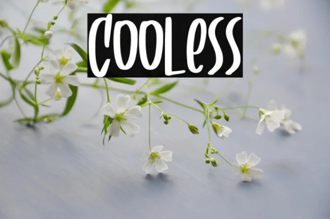 Cooless Example 3
