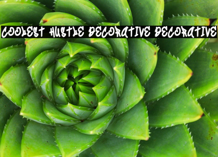 Coolest Hustle Decorative Decorative Example 1