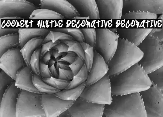Coolest Hustle Decorative Decorative Шрифта examples