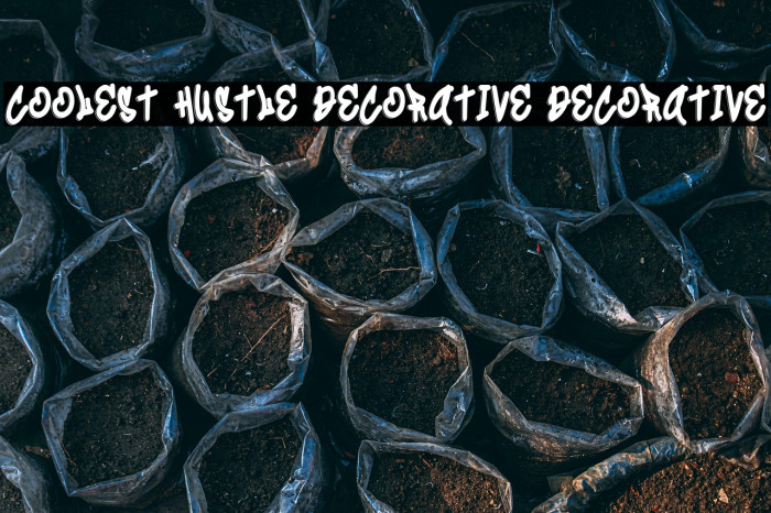 Coolest Hustle Decorative Decorative Example 2