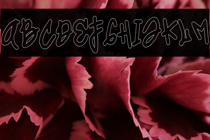 Coolest Hustle Outline Outline Example 1