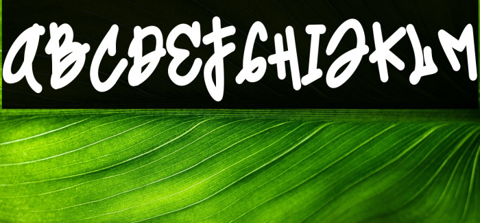 Coolest Hustle Solid Solid Example 1