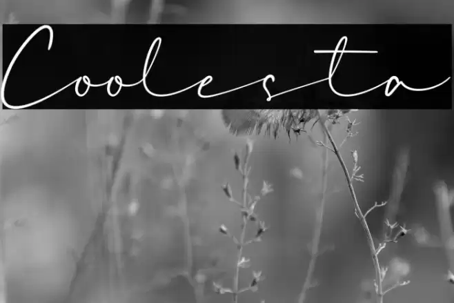Coolesta Font examples