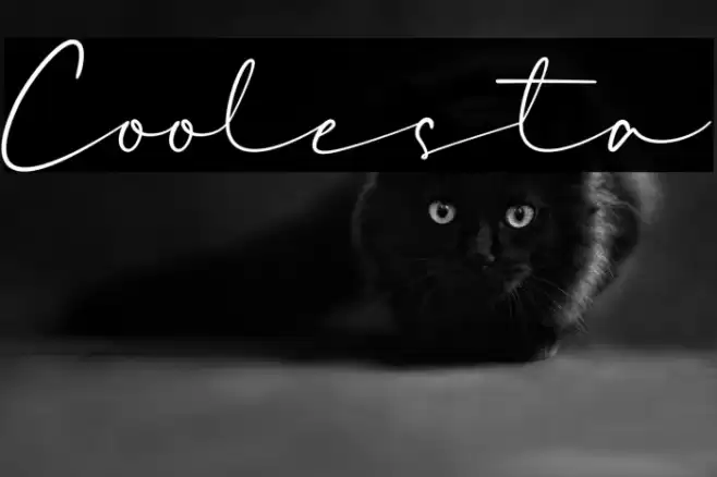 Coolesta Font examples