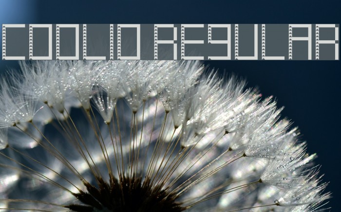 Coolio Regular Font examples