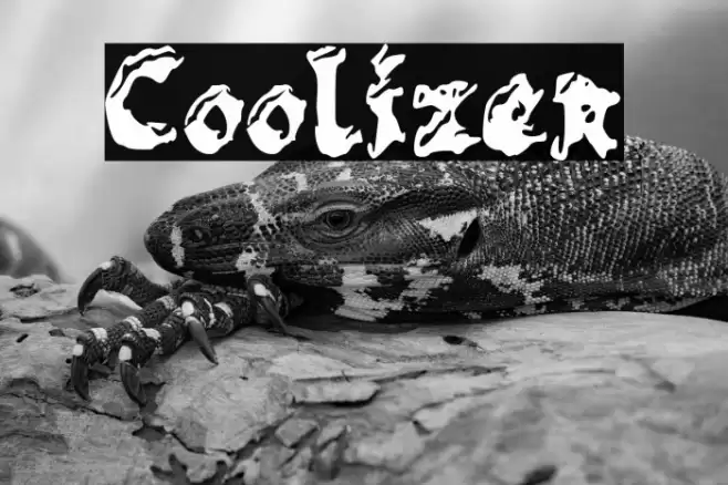 Coolizer Font examples
