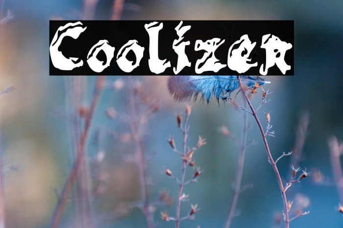 Coolizer Example 3