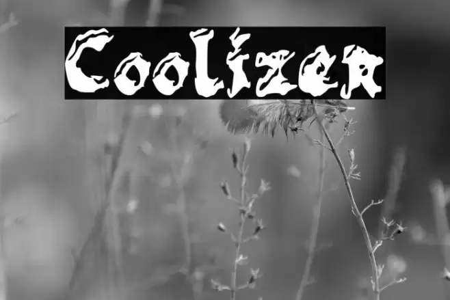 Coolizer Font examples