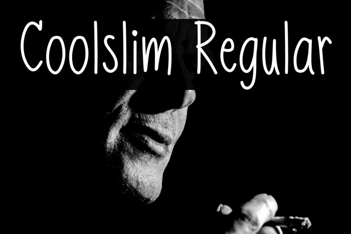 Coolslim Regular Example 2