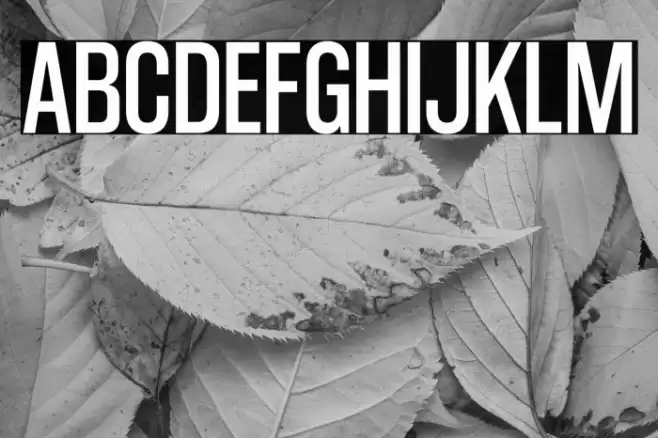 CoolveticaCondensedRg-Regular Font examples