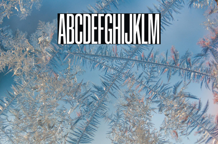 CoolveticaCrammedRg-Regular Example 1