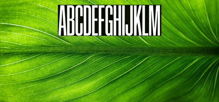 CoolveticaCrammedRg-Regular Example 3