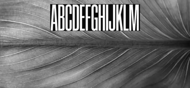 CoolveticaCrammedRg-Regular Font examples