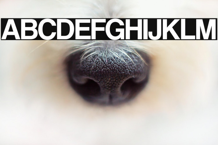 CoolveticaRg-Regular Example 1