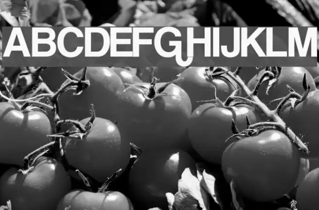 Coolvetica フォント examples