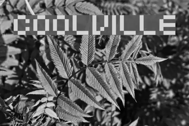 Coolville Font examples
