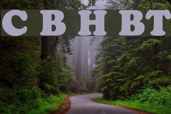 Cooper Black Headline BT Example 3