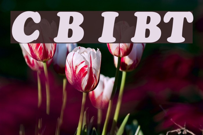 Cooper Black Italic BT Example 3