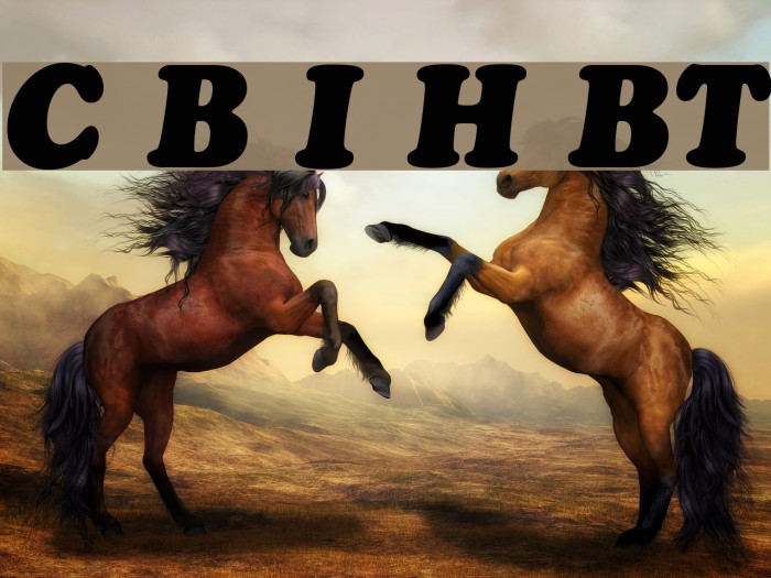 Cooper Black Italic Headline BT Example 1