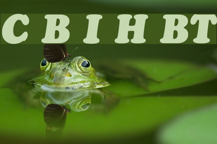 Cooper Black Italic Headline BT Example 2