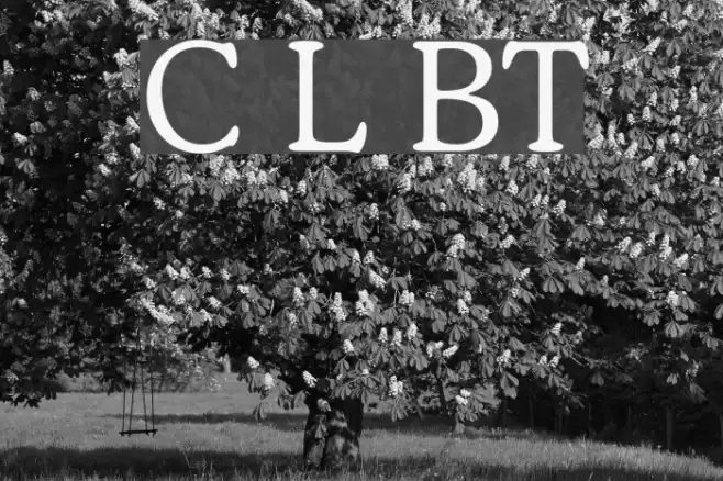 Cooper Light BT  examples