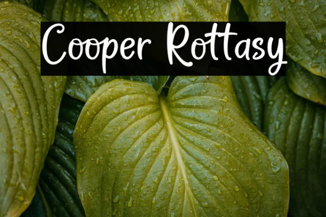 Cooper Rottasy Example 2