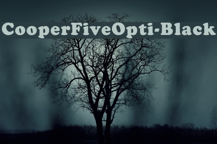 CooperFiveOpti-Black Font examples