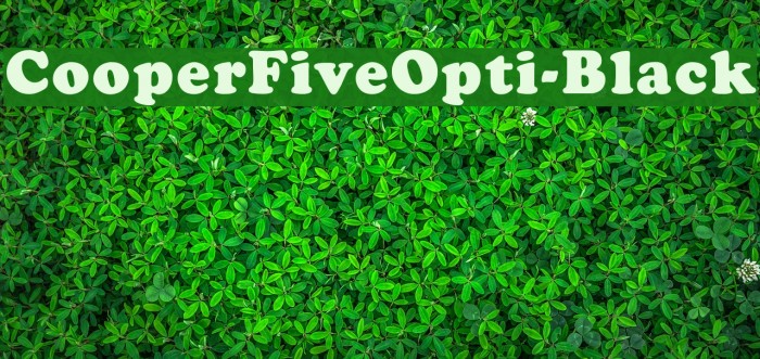 CooperFiveOpti-Black Font examples