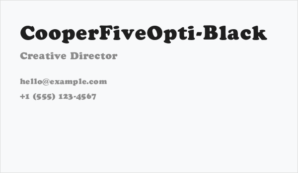 CooperFiveOpti-Black Business Card