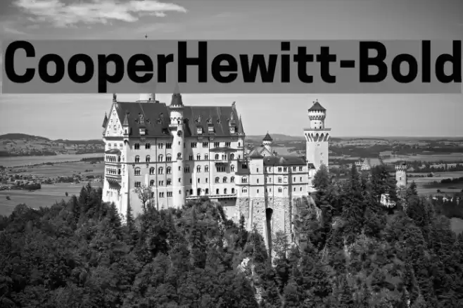 CooperHewitt-Bold Font examples