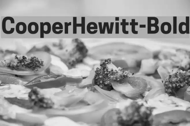 CooperHewitt-Bold Font examples